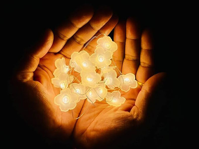 glowserie 14 LEDs 3 m Yellow Steady Flower Rice Lights(Pack of 1)