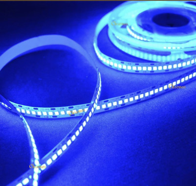 P-ON 240 LEDs 5 m Blue Steady Strip Rice Lights(Pack of 1)