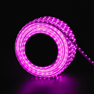 DOJI 880 LEDs 10 m Pink Steady Strip Rice Lights(Pack of 1)