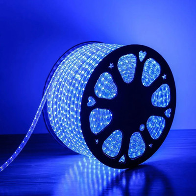 33 Foot 10M Rope Light Waterproof High Brightness For Indoor/Outdoor Use 1200 LEDs 10 m Blue, Transparent Steady Strip Rice Lights(Pack of 1)