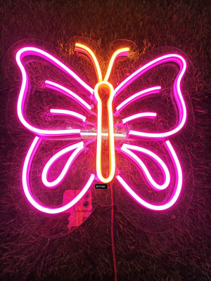 SG Print 240 LEDs 25 m Pink Steady String Rice Lights(Pack of 1)