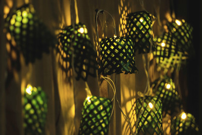 Natriel 10 LEDs 3 m Green Steady Bulb Rice Lights(Pack of 1)