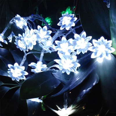 RaajaOutlets 20 LEDs 4.5 m White Steady Flower Rice Lights(Pack of 1)