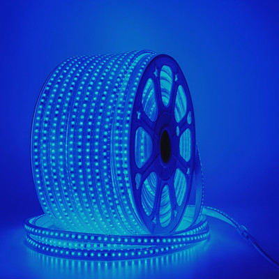 VRYZONICS 3600 LEDs 30 m Blue Steady Strip Rice Lights(Pack of 1)
