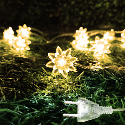 NISCO 20 LEDs 4 m Yellow Steady Flower Rice Lights(Pack of 1)