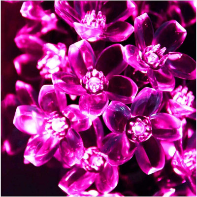 QUACE 16 LEDs 3 m Pink Steady Flower Rice Lights(Pack of 1)