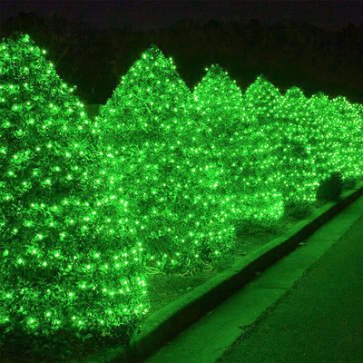 MUMU 42 LEDs 12 m Green Steady Bulb Rice Lights(Pack of 2)