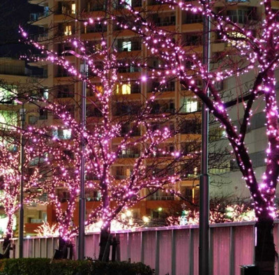 CANDLE 40 LEDs 11 m Pink Steady String Rice Lights(Pack of 1)