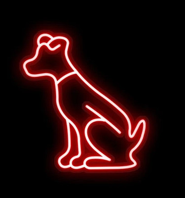 Luxury Sign India 240 LEDs 25 m Red Steady String Rice Lights(Pack of 1)