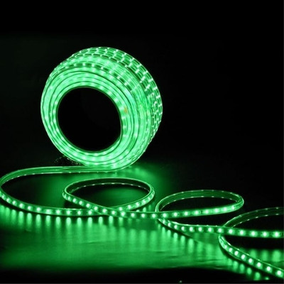 inooBeam 360 LEDs 3.01 m Green Steady Strip Rice Lights(Pack of 1)