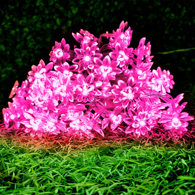 Infiprises 20 LEDs 4 m Pink Steady Flower Rice Lights(Pack of 1)