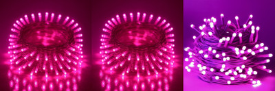 PKG 40 LEDs 11 m Multicolor Steady String Rice Lights(Pack of 3)