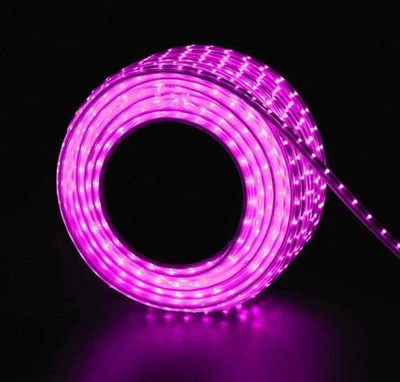 SEETASTIC 60 LEDs 5 m Pink Steady Strip Rice Lights(Pack of 1)
