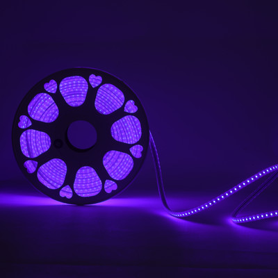 BENHEK 880 LEDs 10 m Blue Steady Strip Rice Lights(Pack of 1)