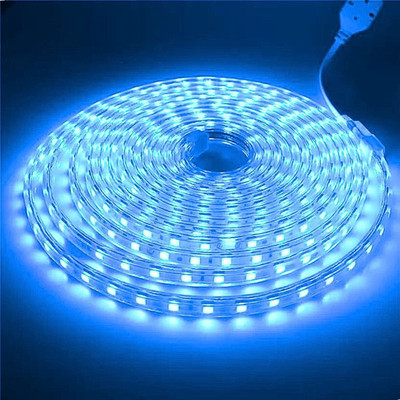 33 Foot 10M Rope Light Waterproof High Brightness For Indoor/Outdoor Use 720 LEDs 10 m Transparent Steady Strip Rice Lights(Pack of 1)