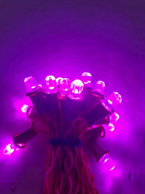 A.S.D. Electronics 50 LEDs 9.144 m Pink Steady String Rice Lights(Pack of 1)