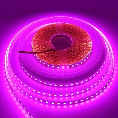 Adwait 600 LEDs 5 m Pink Steady Strip Rice Lights(Pack of 1)