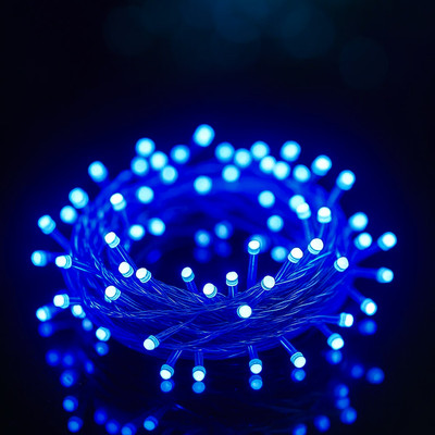 MPROW 34 LEDs 10 m Blue Steady String Rice Lights(Pack of 1)