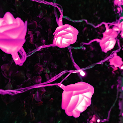 unbrand 20 LEDs 4 m Pink Steady Flower Rice Lights(Pack of 1)