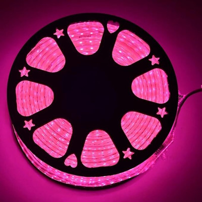EBYZER 1550 LEDs 25 m Pink Steady Strip Rice Lights(Pack of 1)