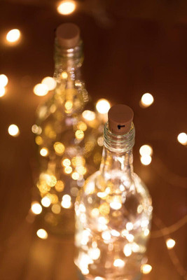 HASRU 20 LEDs 3.05 m Yellow Steady String Rice Lights(Pack of 1)