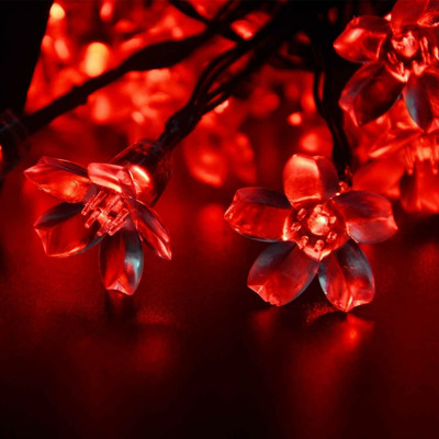 Infiprises 36 LEDs 8 m Red Steady Flower Rice Lights(Pack of 1)