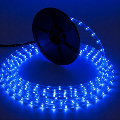 Moonlight 120 LEDs 10 m Blue Steady Strip Rice Lights(Pack of 1)