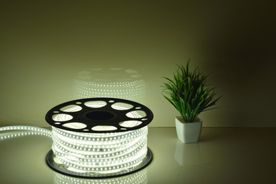 LiteSun 120 LEDs 5 m White Steady Strip Rice Lights(Pack of 1)