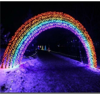 Business Squad 200 LEDs 7 m Multicolor Steady String Rice Lights(Pack of 10)