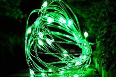 argonlight 16 LEDs 1.6 m Green Steady Diya Rice Lights(Pack of 1)