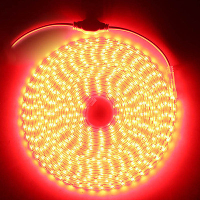 inooBeam 1442 LEDs 20.05 m Red Steady Moon Rice Lights(Pack of 1)