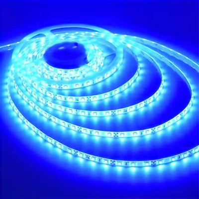 Daiwik 600 LEDs 5 m Blue Steady Strip Rice Lights(Pack of 1)
