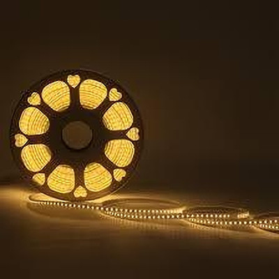 Dr MURECO 6500 LEDs 50 m Gold Steady String Rice Lights(Pack of 3)