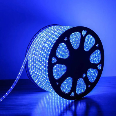 inooBeam 2400 LEDs 10.05 m Blue Steady Strip Rice Lights(Pack of 1)