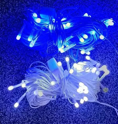 Pixofeet 24 LEDs 11 m Blue, White Steady Bulb Rice Lights(Pack of 2)