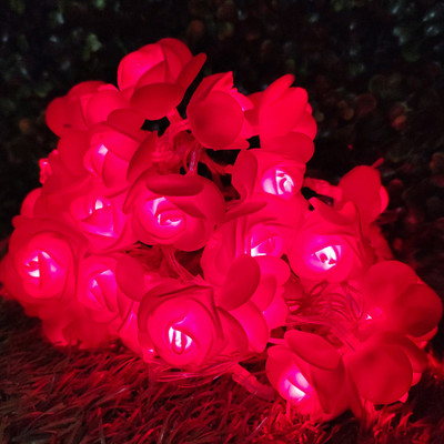 NISCO 20 LEDs 4 m Red Steady Flower Rice Lights(Pack of 1)