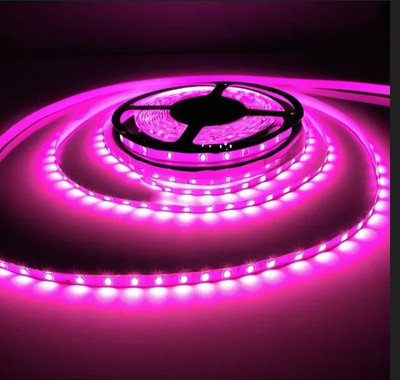 WIRE ME SAFE 600 LEDs 5 m Pink Steady Strip Rice Lights(Pack of 1)