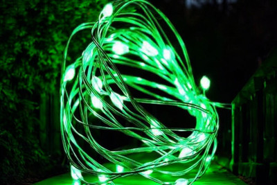 argonlight 16 LEDs 1.6 m Green Steady Diya Rice Lights(Pack of 1)