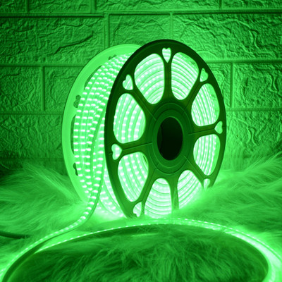 WBD 1680 LEDs 21 m Green Steady Strip Rice Lights(Pack of 1)