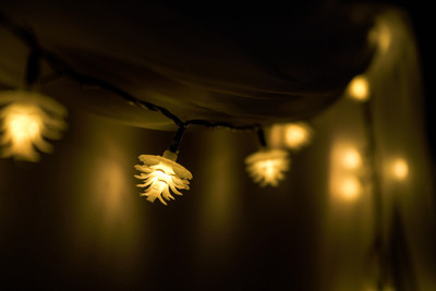 Home Delight 20 LEDs 3.18 m Yellow Steady String Rice Lights(Pack of 1)