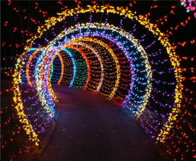 Business Squad 100 LEDs 7 m Multicolor Steady String Rice Lights(Pack of 10)