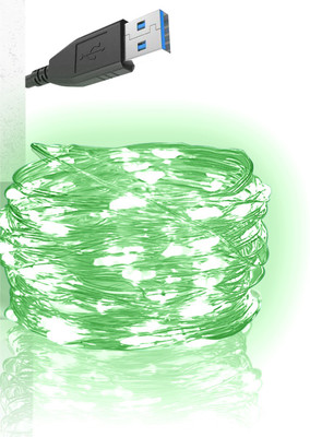 RAAGMANSAA 100 LEDs 10 m Green Steady String Rice Lights(Pack of 1)