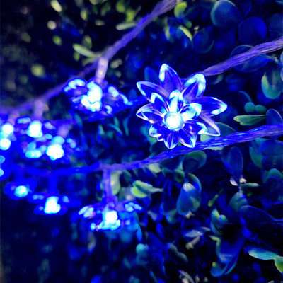 NISCO 20 LEDs 4 m Blue Steady Flower Rice Lights(Pack of 1)