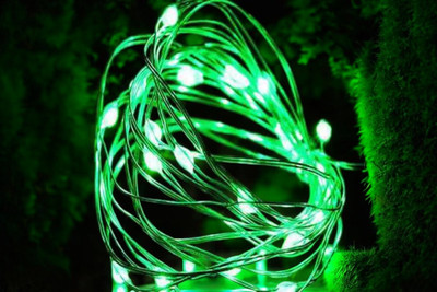 argonlight 16 LEDs 1.6 m Green Steady Diya Rice Lights(Pack of 1)