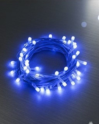 ERHIndia 34 LEDs 10 m Blue Steady String Rice Lights(Pack of 1)
