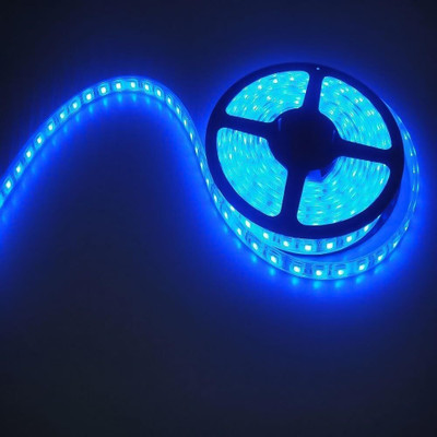 amiciVision 300 LEDs 5 m Blue Steady Strip Rice Lights(Pack of 1)