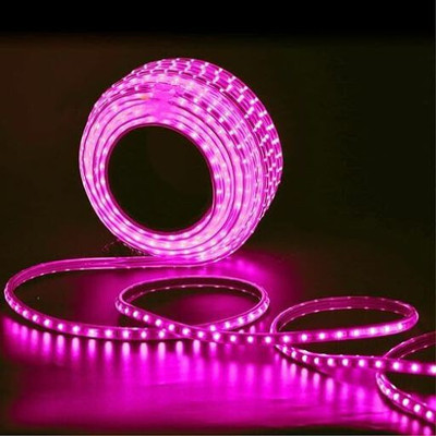 EBYZER 499 LEDs 5 m Pink Steady Strip Rice Lights(Pack of 1)