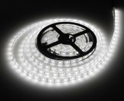 spark world 240 LEDs 5 m White Steady Strip Rice Lights(Pack of 1)