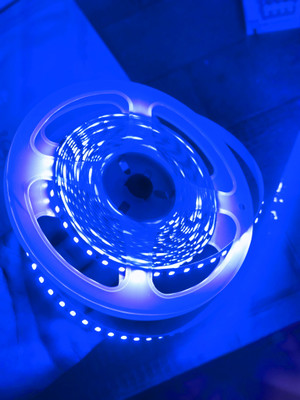NORTIXON 120 LEDs 5 m Blue Steady Strip Rice Lights(Pack of 1)