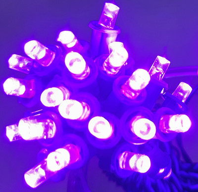 A.S.D. Electronics 200 LEDs 34.12 m Purple Steady String Rice Lights(Pack of 4)